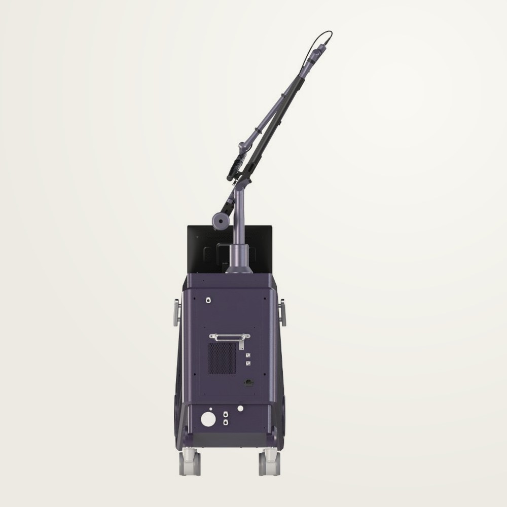 Pico-Laser Rückansicht — Anschlüsse, Filterzugang und Kühlsystem